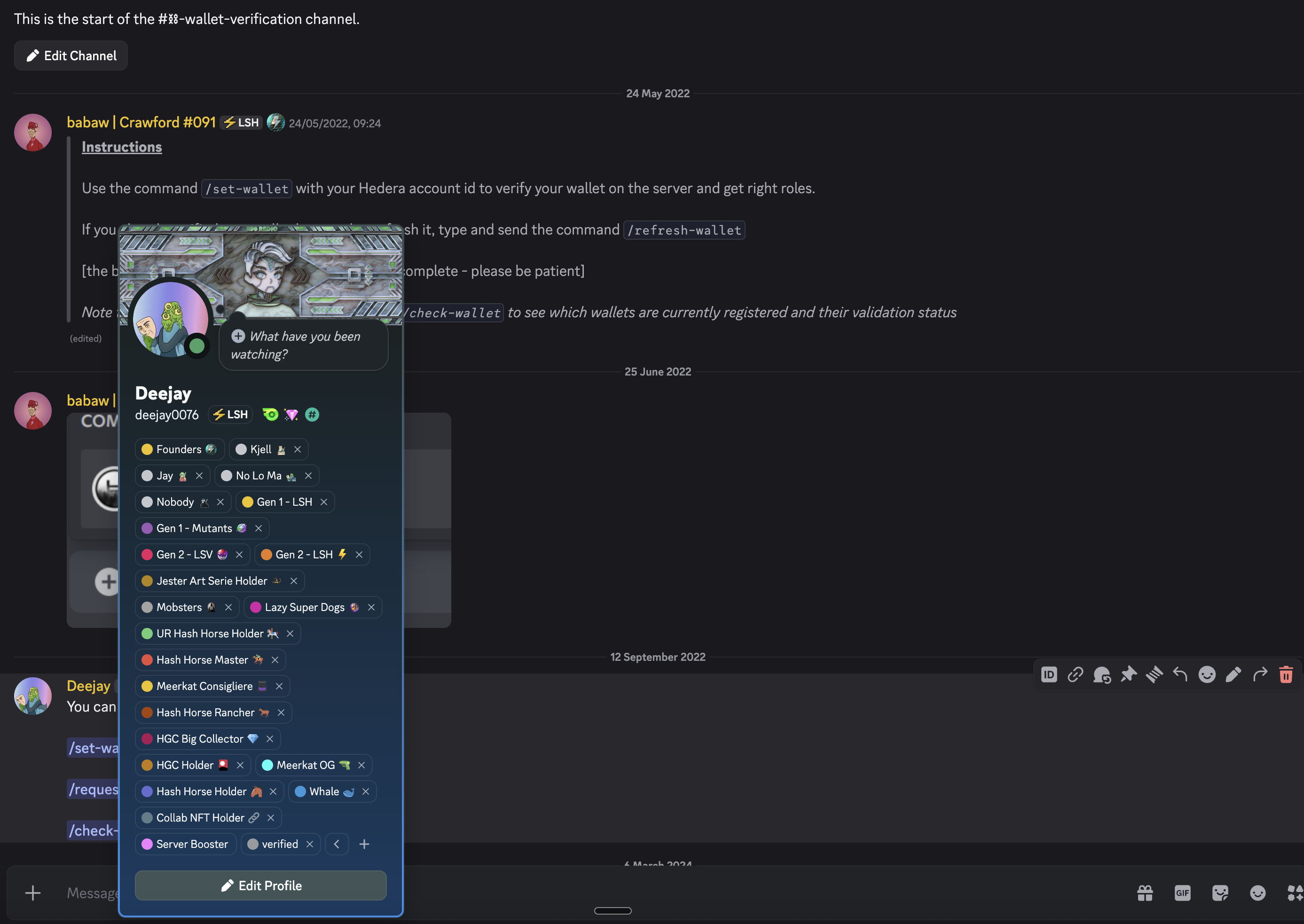 A Discord member's profile showing many token-gated roles the bot assigned